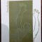 FLOREA BURTAN: TRIUMFUL DISPERARII/VERSURI 2004/dedicatie-autograf pt M.GELELETU