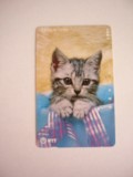 B11 75 - Carduri si cartele telefonice - Japonia - Pisici - piesa de colectie