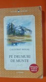 PE DRUMURI DE MUNTE - CALISTRAT HOGAS