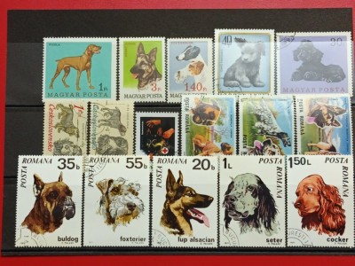 Lot timbre cu Caini foto