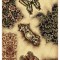 Traversa Covor Lotos Fluturi 1607 Latime 120 cm Diverse Lungimi 1800 gr/mp