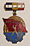 INSIGNA FRUNTAS BRIGADIER AL MUNCII PATRIOTICE 1959