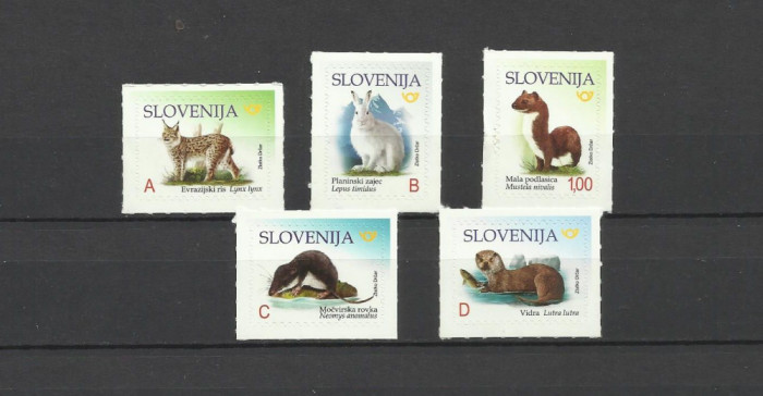 SLOVENIA 2018 FAUNA ANIMALE SALBATICE