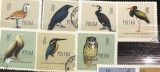 Timbre - Polonia Polska - >50 - Serie - Tematica Animale