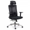 Scaun ergonomic multifunctional EDPO 9501 Negru