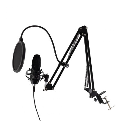 Set microfon profesional, usb, brat articulat, filtru pop-up flexibil, studio, foto