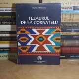 CORINA MIHAESCU - TEZAURUL DE LA CORNATELU , SIBIU , 2013 *