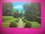 HOPCT 8212 GRADINA TANGLEWOOD VISTA -OPERA BOSTON MASS -SUA-AMERICA DE NORD -NECIRCULATA-