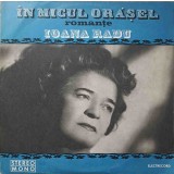 Disc vinil, LP. IN MICUL ORASEL-IOANA RADU-265349