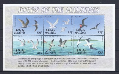 Maldive - PASARI ACVATICE din MALDIVE - BL - MNH foto