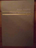 Opere Sociologice Vol.3 - Petre Andrei ,534556, ACADEMIEI ROMANE