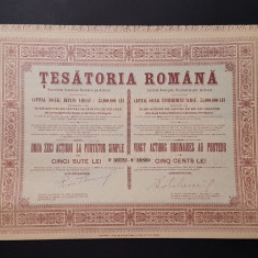 Actiune 1928 Tesatoria romana / titlu de 20 actiuni