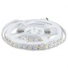 BANDA LED SMD5050 60LED/M RGB + ALB CALD IP20 5M, V-TAC
