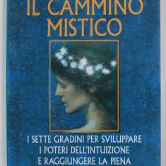 IL CAMMINO MISTICO di BETTY RICHARDS , TEXT IN LIMBA ITALIANA , 1996 , PREZINTA INSEMNARILE SI SUBLINIERILE LUI MARIN MINCU *