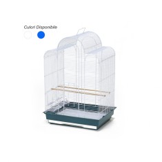 COLIVIE PASARI 610 MIXED COLORS 47.5x36x69(h)cm foto