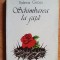 Schimbarea la fata- Valeria Grosu