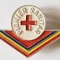INSIGNA PIONIER SANITAR ALUMINIU VOPSIT 19/30 MM FARA CLASA IMPECABILA PIONIERI PIONERESC ( CITITI DESCRIEREA )