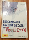 Programarea bazelor de date cu Visual C++6 de Lyn Robinson
