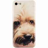 Husa silicon pentru Apple Iphone 5c, Love Pup