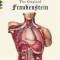 The Original Frankenstein: Or, the Modern Prometheus: The Original Two-Volume Novel of 1816-1817 from the Bodleian Library Manuscripts