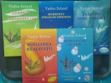 VADIM ZELAND - TRANSURFINGUL REALITATII: SCOALA RUSA, GRADELE 1 - 5 (2011-2012)