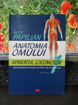 Victor Papilian, Anatomia omului, Aparatul locomotor, București 2010, 040 foto