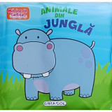 Carte Animale din jungla Girasol, 6 pagini, 12 luni+