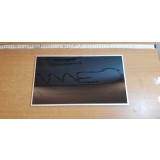 Display Laptop LED 6091L-0998G 15,6 inch zgariat #62448