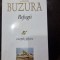 Refugii - Augustin Buzura