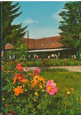 CPI B13967 CARTE POSTALA - IZVORUL MURESULUI. VEDERE foto