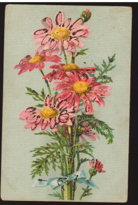 CPIB 16698 FELICIRAE - FLORI foto