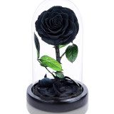 Cumpara ieftin Trandafir criogenat negru bonita (&Oslash;9,5cm) in cupola (12x25cm)
