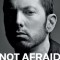 Not Afraid: The Evolution of Eminem