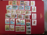 AFRICA SUD TRANSKEI LOT =MNH=5