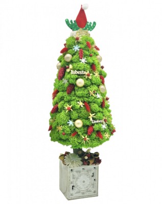 Aranjament de Craciun Brad din licheni naturali stabilizati si decoratiuni de sezon, Eventissimi, Verde, 55 cm, personalizabil foto