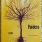 Paideea - Rustem Seitabla