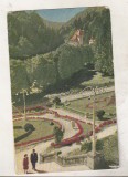 Bnk cp Slanic Moldova - Vedere din parc - circulata - marca fixa, Printata