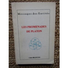 LES PROMENADES DE PLATON-CALIN BRANCENI