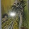 Gustave Flaubert Sallambo 1965 ed. Baudlelaire