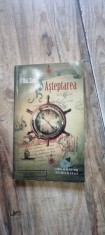 Asteptarea - Rui Zink foto