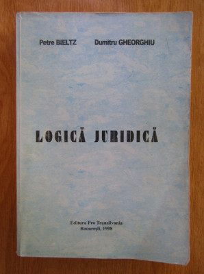 Petre Bieltz, Dumitru Gheorghiu - Logica juridica foto