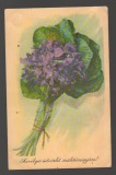 CPIB 20172 CARTE POSTALA - FELICITARE - VIOLETE, TOPORASI, 1959