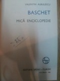 BASCHET . MICA ENCICLOPEDIE de VALENTIN ALBULESCU , 1981