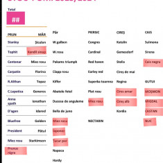 Vindem pomi fructiferi diverse specii si soiuri