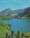 CPI B14816 - CARTE POSTALA - JUDETUL SIBIU. LACUL &quot;BALEA&quot;