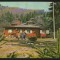 CPIB 19753 CARTE POSTALA - SAMBATA. CABANA TURISTICA