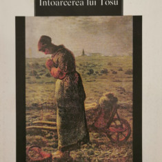 Intoarcerea lui Tosu - Ioan Viorel Boldureanu