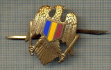 Y 1649 INSIGNA- MILITARA -EMBLEMA COIFURA(CUC) -PENTRU COLECTIONARI