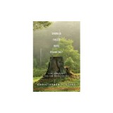 Should Trees Have Standing?: Law, Morality, and the Environment