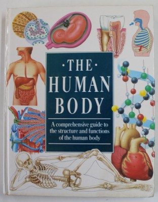 THE HUMAN BODY , A COMPREHENSIVE GUIDE TO THE STRUCTURE AND FUNCTIONS OF THE HUMAN BODY , 1989 foto